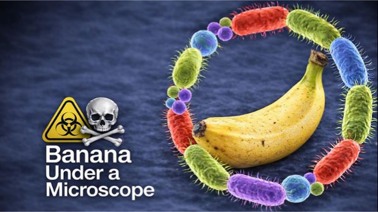I Was Shocked When I Looked at a Banana Under the Microscope