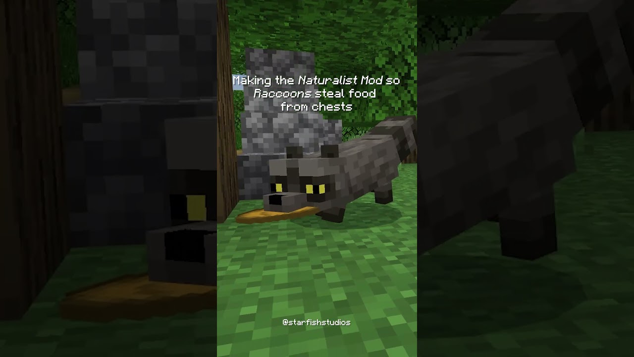 Maur Maur Raccoons In Minecraft🦝| Naturalist Mod