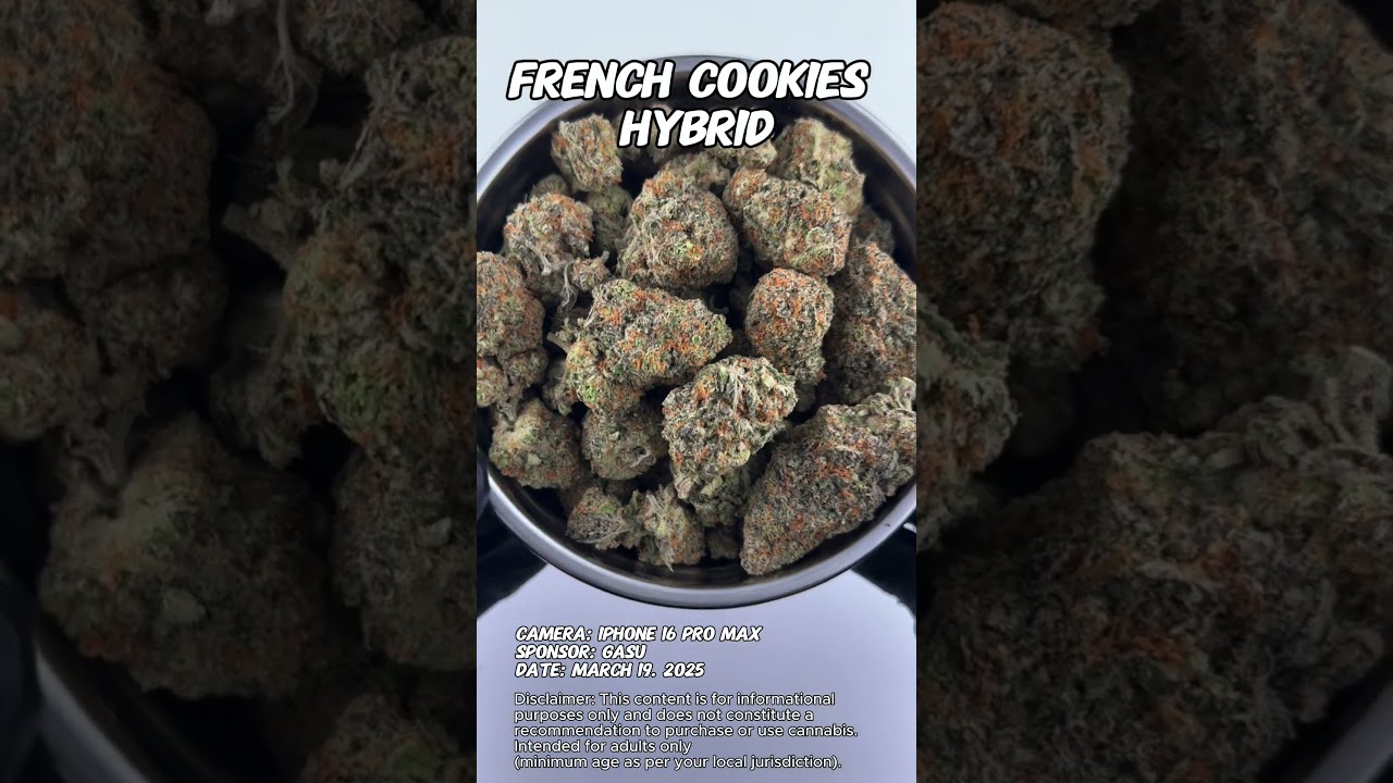 French Cookies | Gasu Sponsored | Strain Spotlight