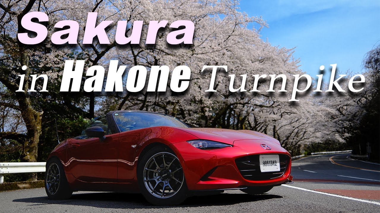Sakura 🌸 Fun Drive on Hakone Turnpike (Odawara Pikes Peak) &ndash; Raw POV Touge Run in MX5