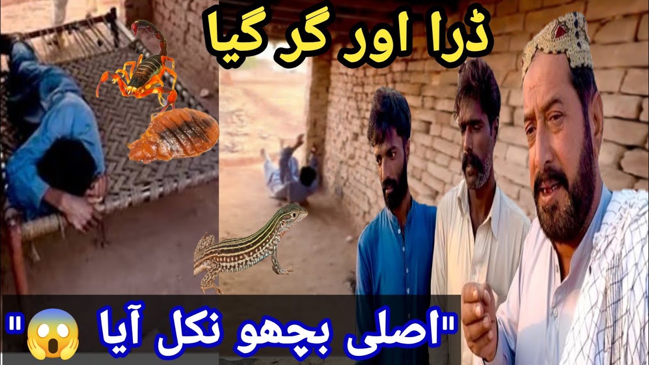 Fake Scorpion Prank 😱 | He Thought It Was Real & Fell Off the Charpai 😂| Altaf 78 20 | Entertainment