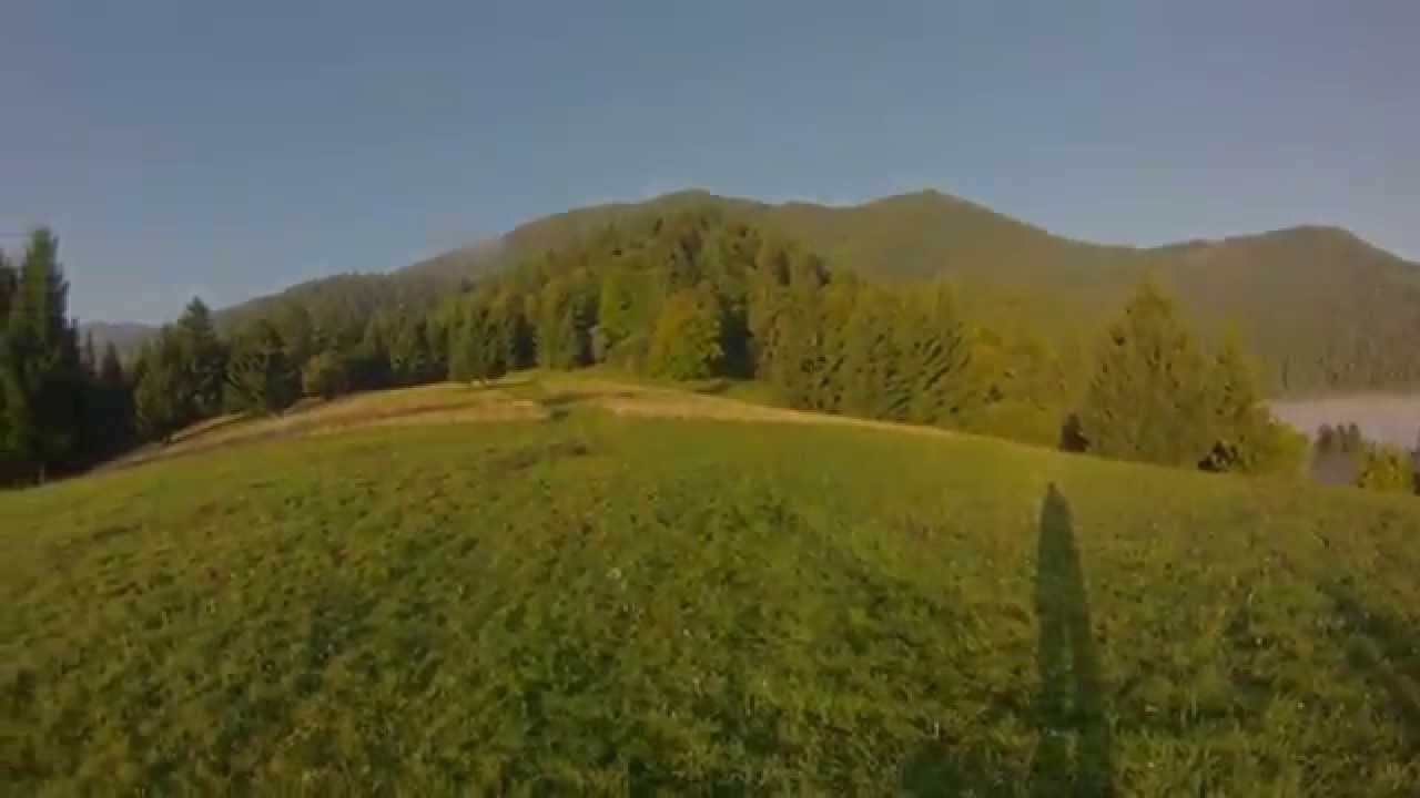 Jelenia ruja 2014