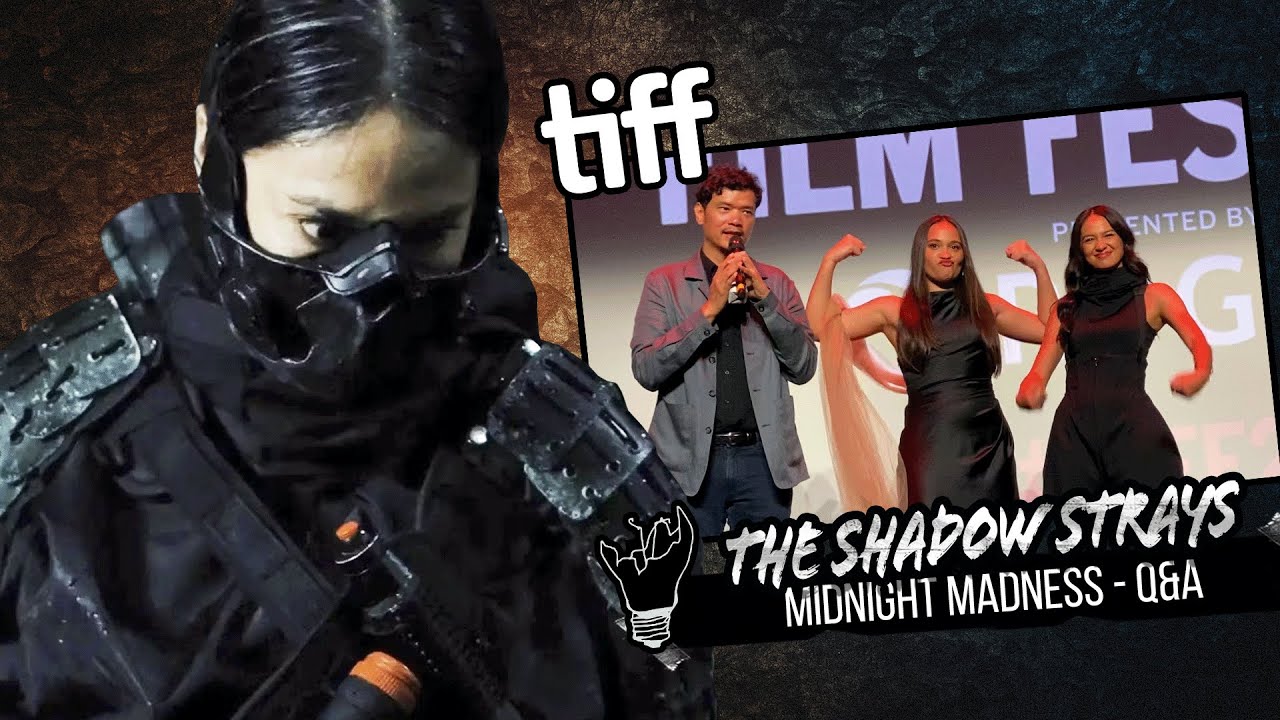 THE SHADOW STRAYS! Behind The Scenes Q&A !