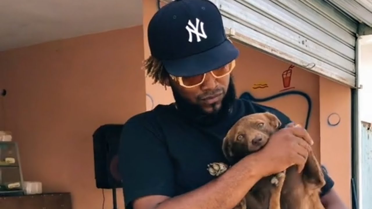EL.PERRO MÁS FAMOSO DE LAS REDES SOCIALES 🤣 