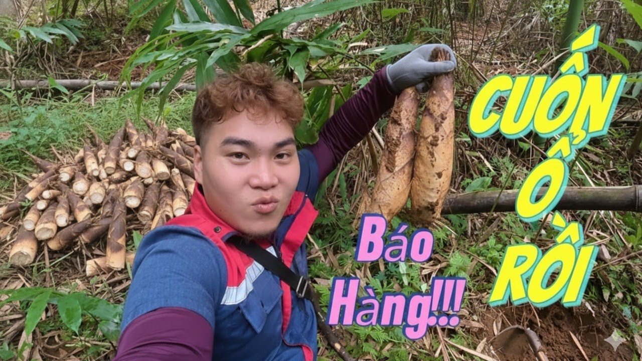 Hành trình đào măng kiếm nhân bánh chưng của 2 anh em | Sơn Khám Phá