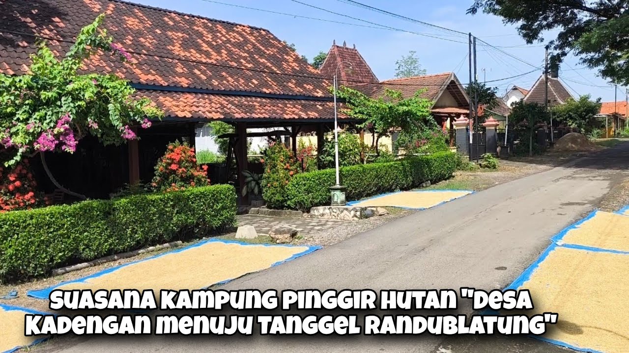 Menyambung Silaturahmi Dari Jakarta Ke Randublatung Malah Ada Open Gabah & Jagung Dijual