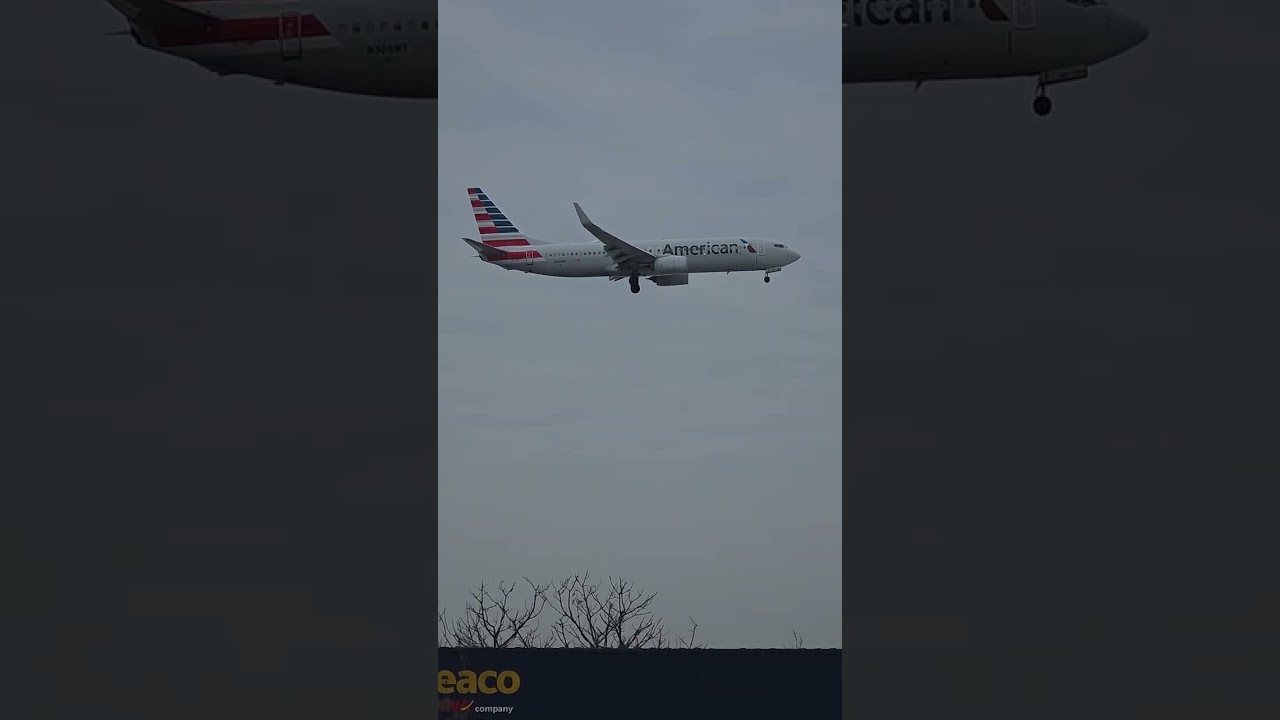 Jets HD Landing at Newark Airport #planespotting 