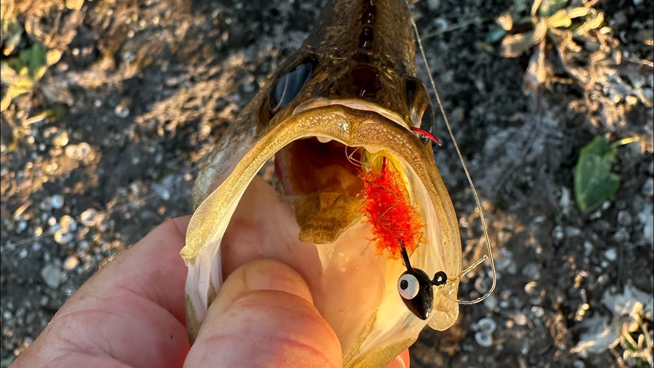 Crappie fish’n the Rodman winter drawdown 