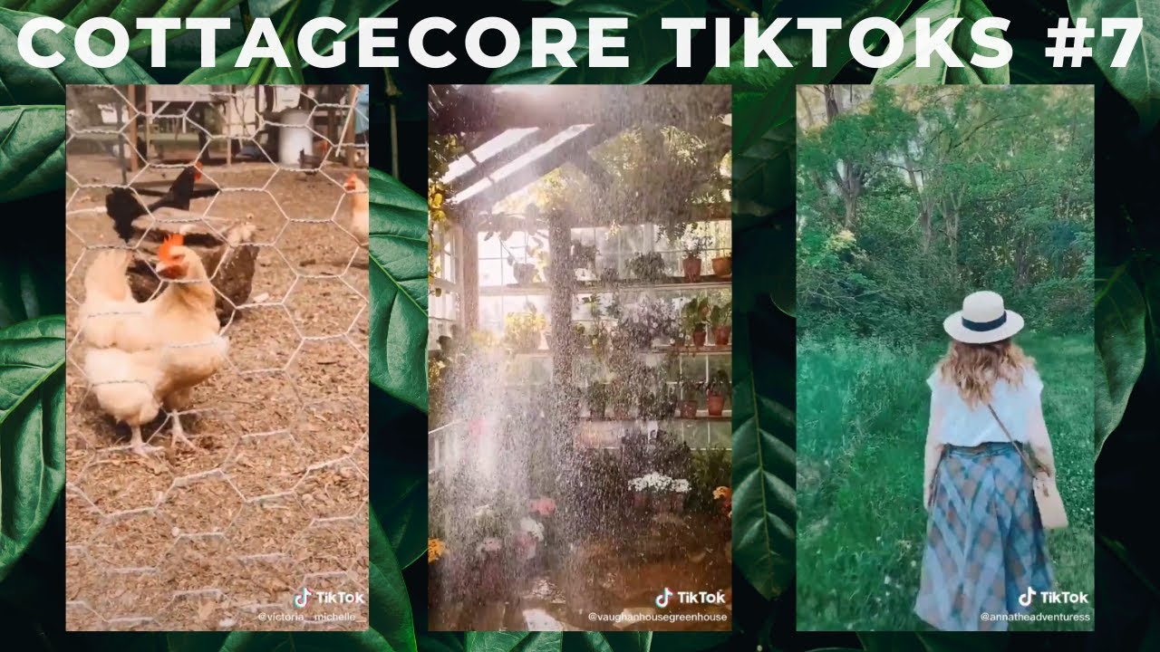 A CottageCore TikTok Compilation A Lesbian at Trader Joe's Would Kiss On the Forehead
