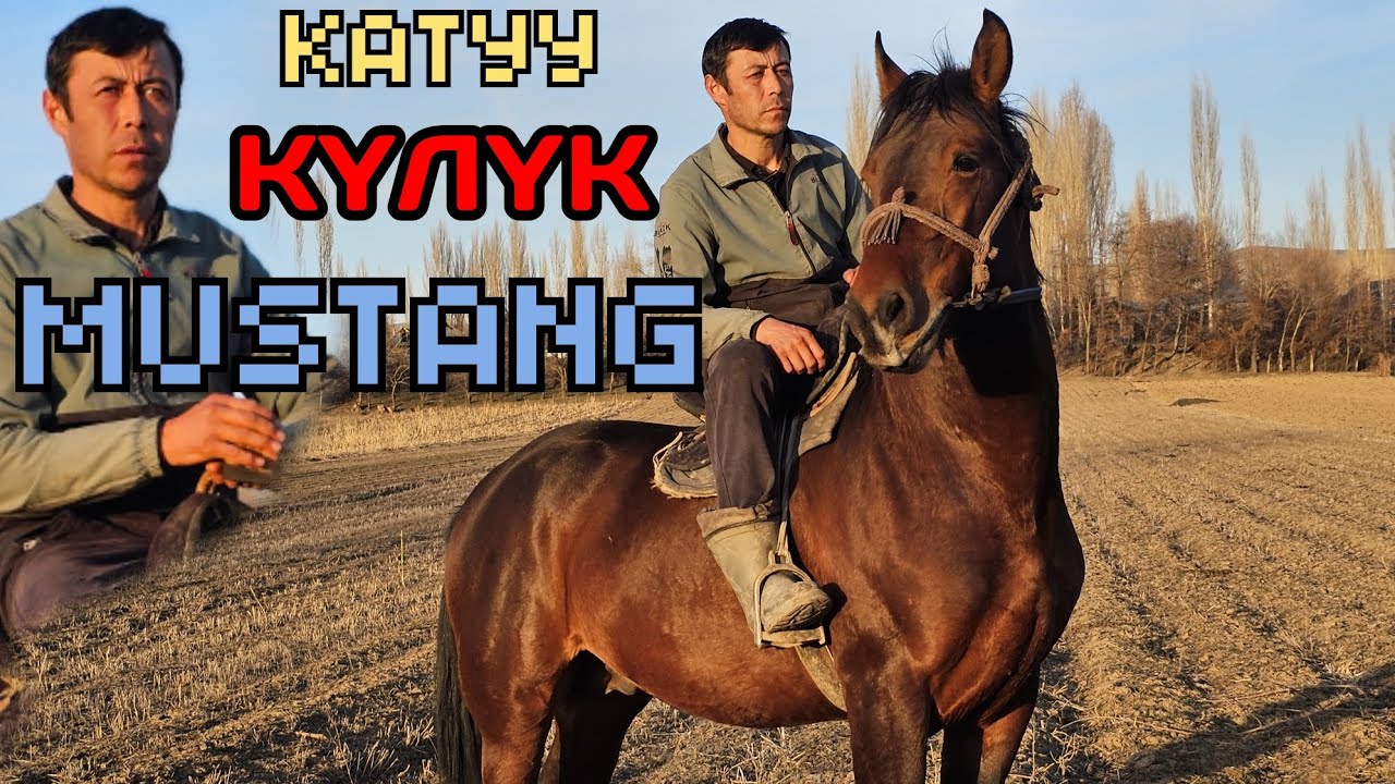 разгон күчтүү МУСТАНГ АКБАР АКЕДЕН