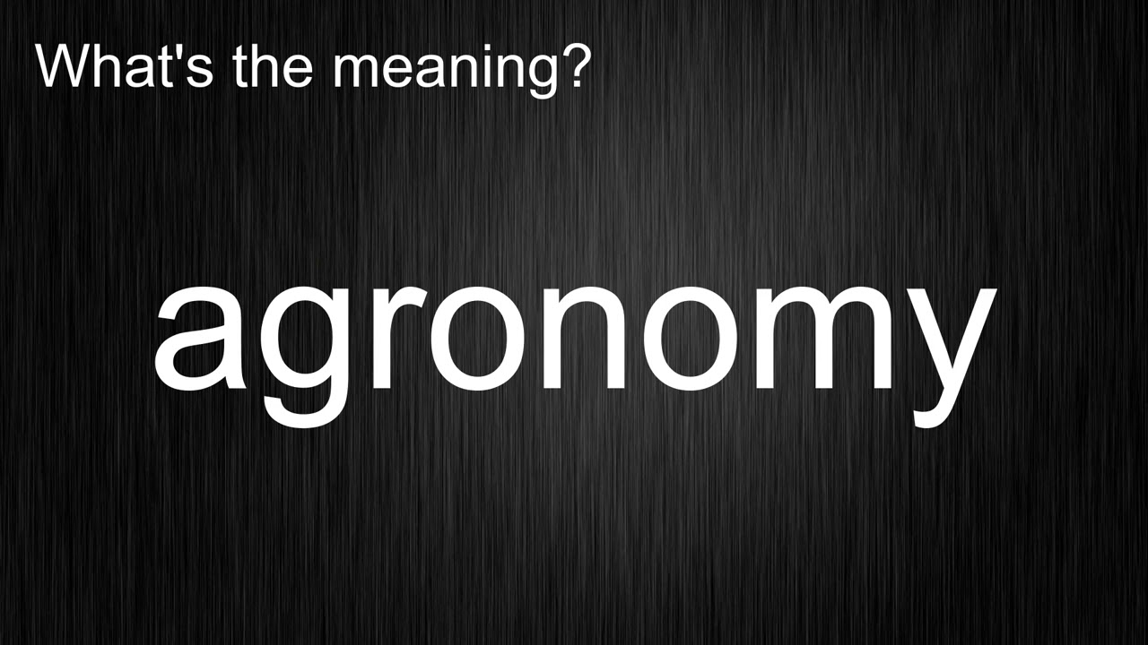 What's the meaning of 
