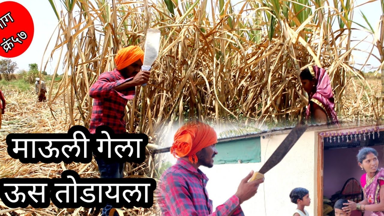 माऊली गेला ऊस तोडीला सासुबाई आल्या भांडायला फुल कॉमेडी माऊली 😀