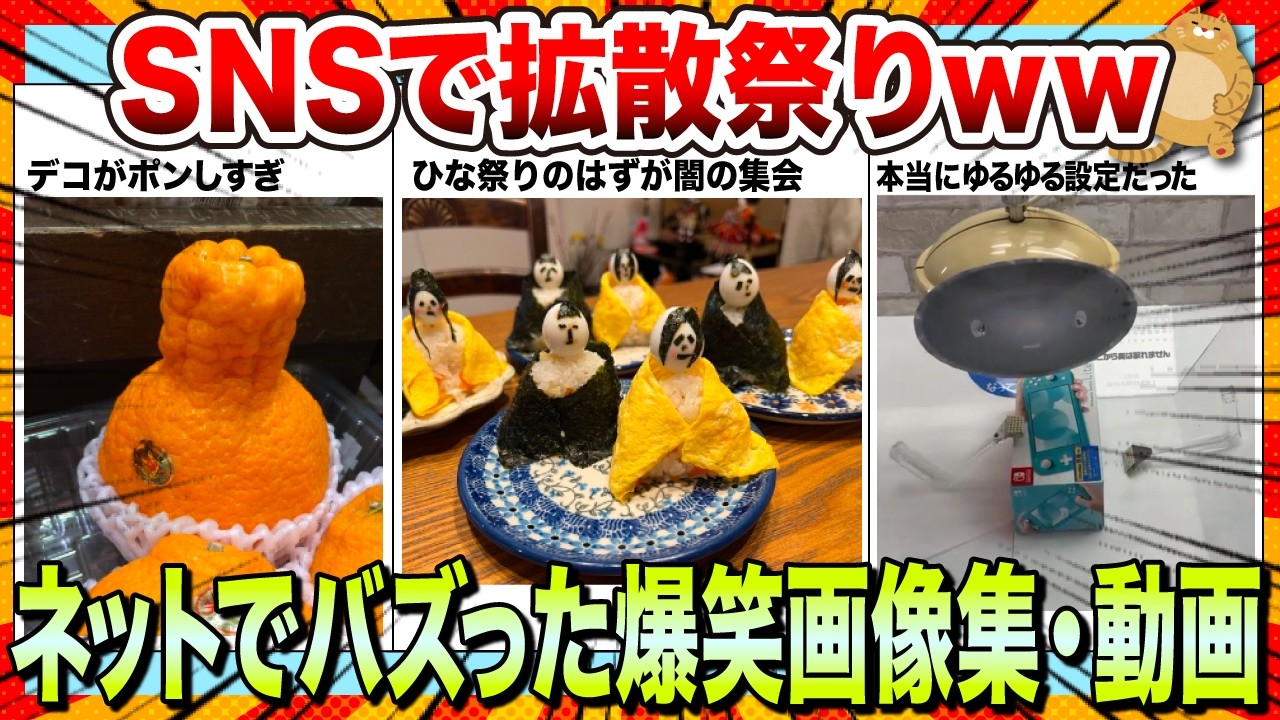 【🔥爆笑】寝る前に見たいwwネットで大バズりした爆笑画像&動画集www【2ch】【5ch】【ゆっくり解説】【コメ付き】【面白画像】