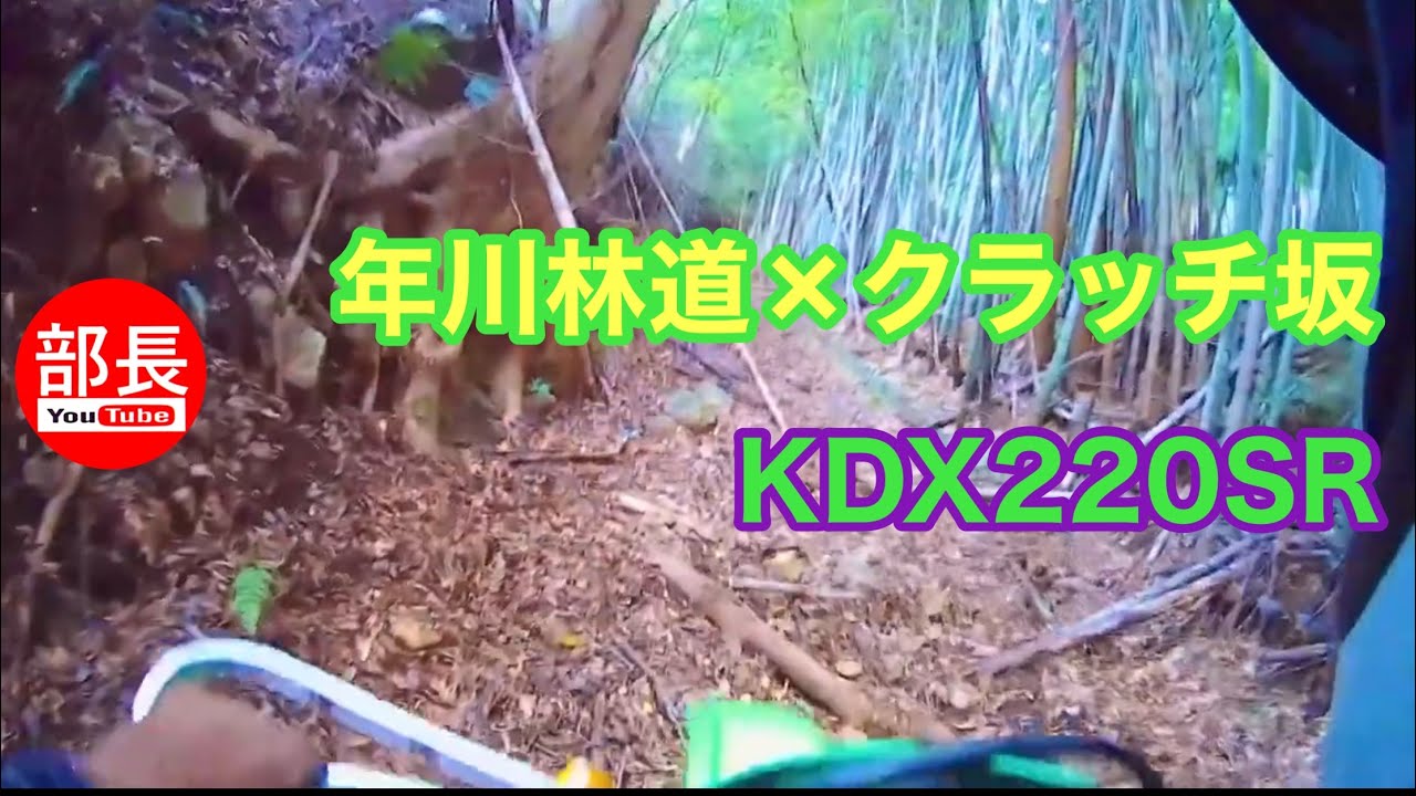 年川林道×クラッチ坂×IRC伊豆林道倶楽部 2023-11-12【モトブログ】
