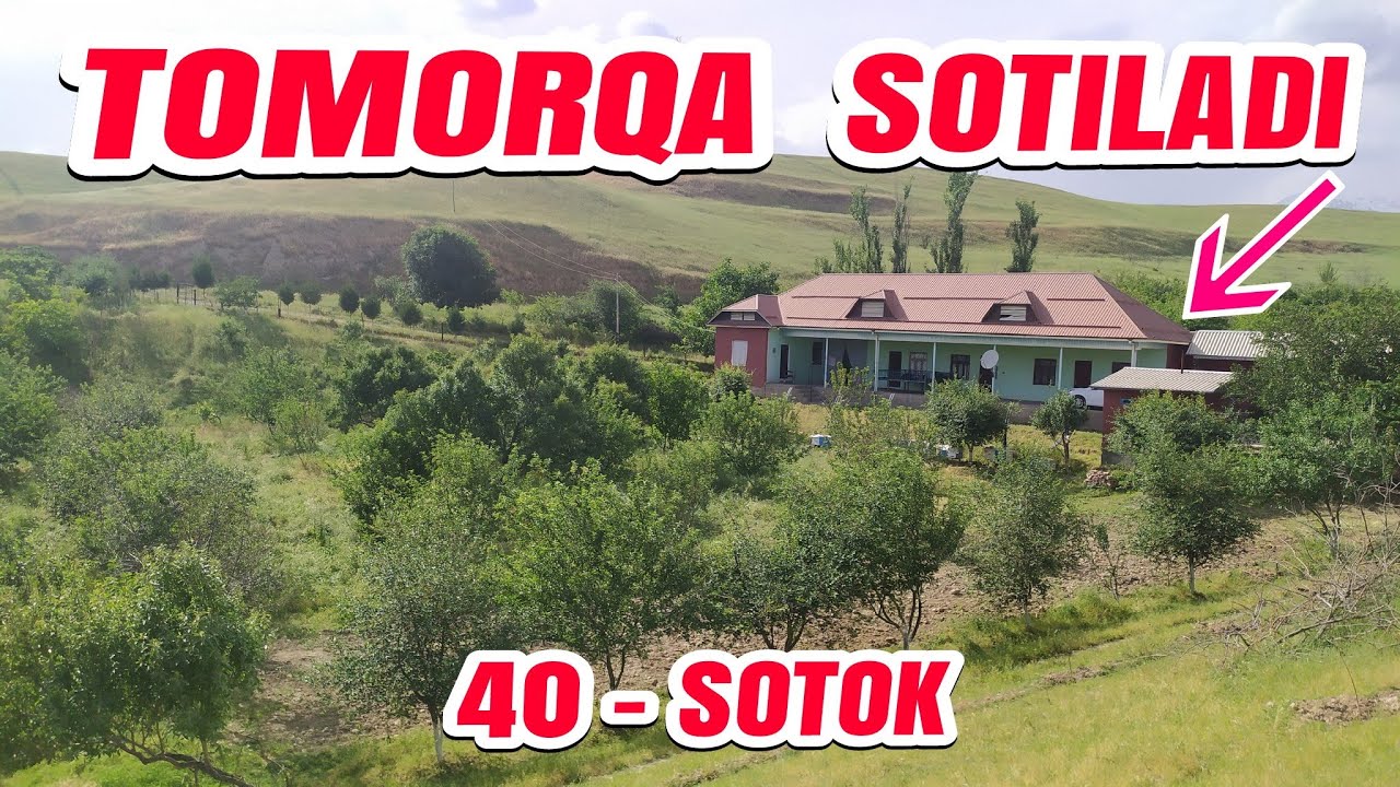 Tomorqa Sotiladi 40-Sotok Uy Joyi bilan Birga |Sotiladi Surxondaryo Sariosiyo Shargʻun #surxon_media