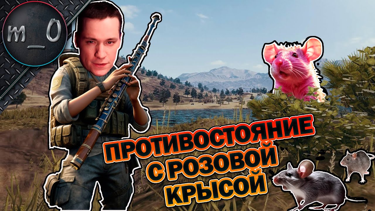 Противостояние с розовой крысой / Моя любимая крыша / BEST PUBG