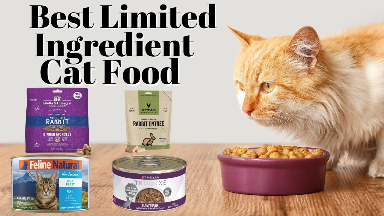 Best Limited Ingredient Cat Food