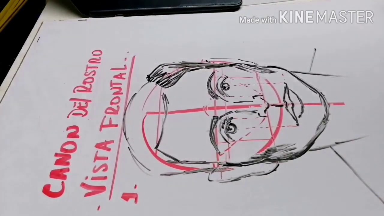 Canon del rostro