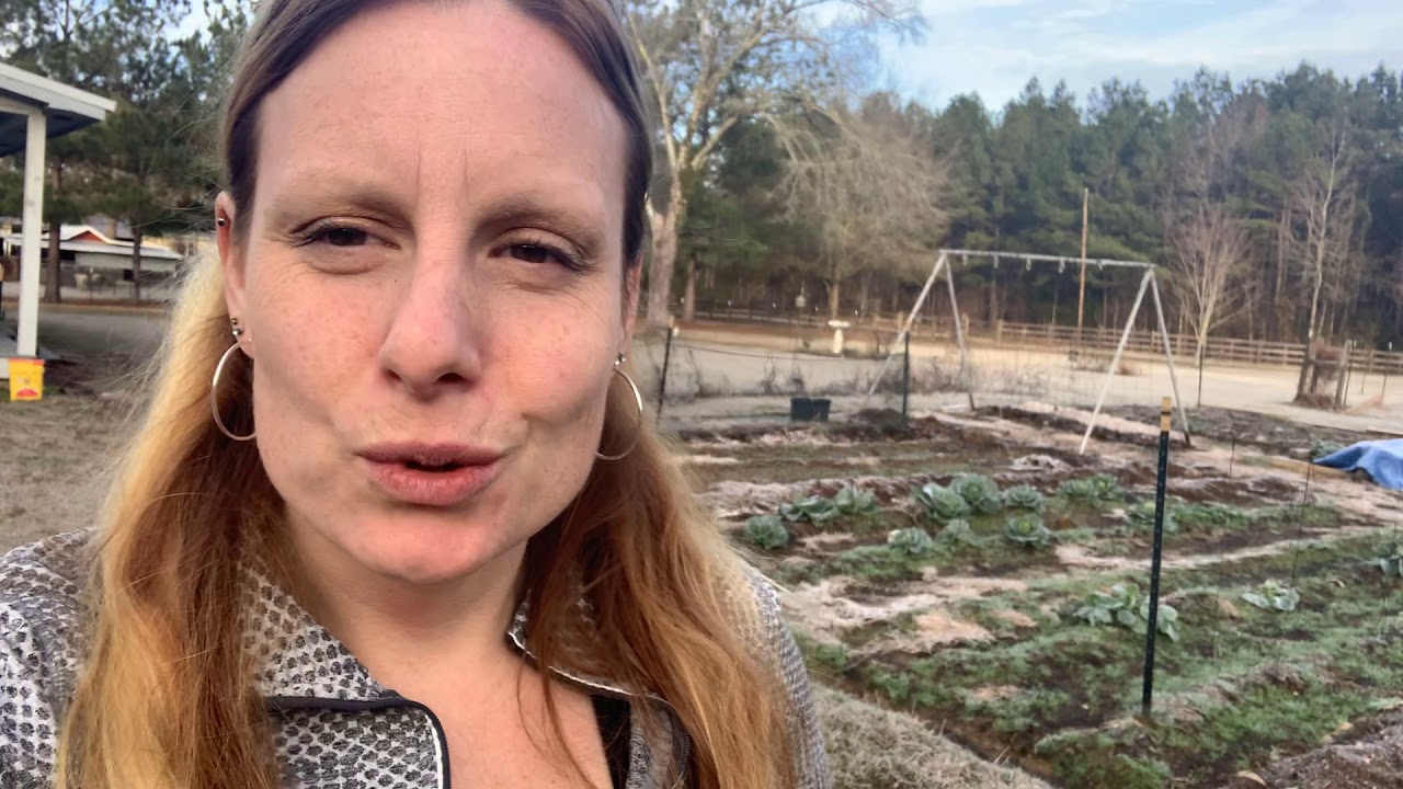 A Smith Announcement, guess what it is not gardening related!