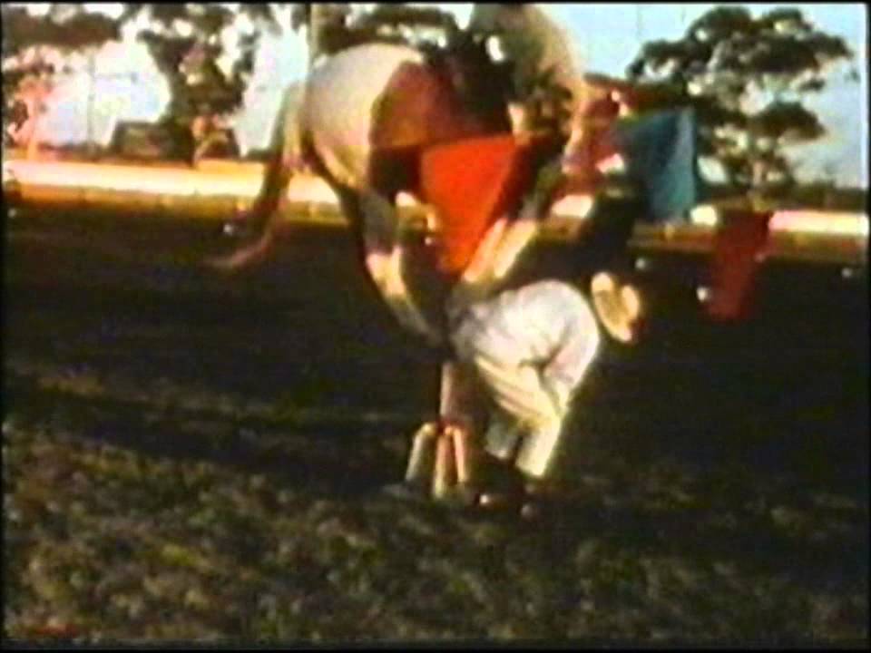 JD Wilton, Jim Wilton, master horsetrainer