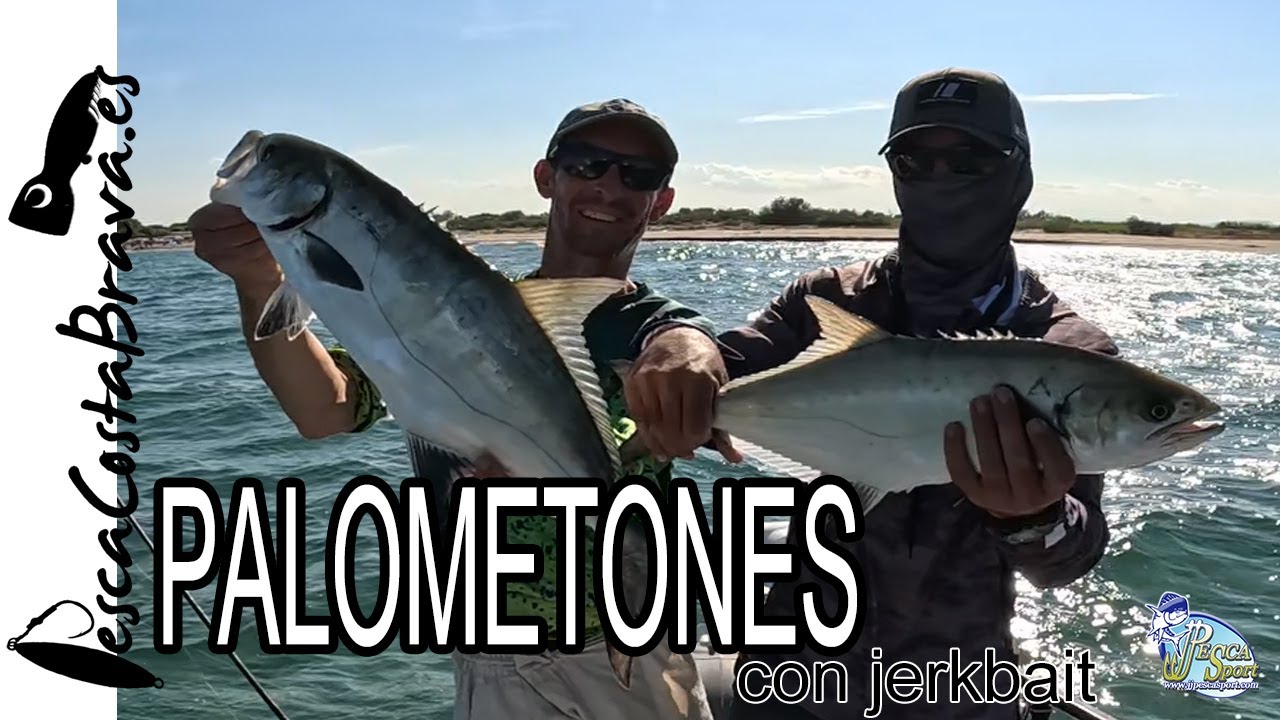PALOMETONES a spinning con JERKBAIT