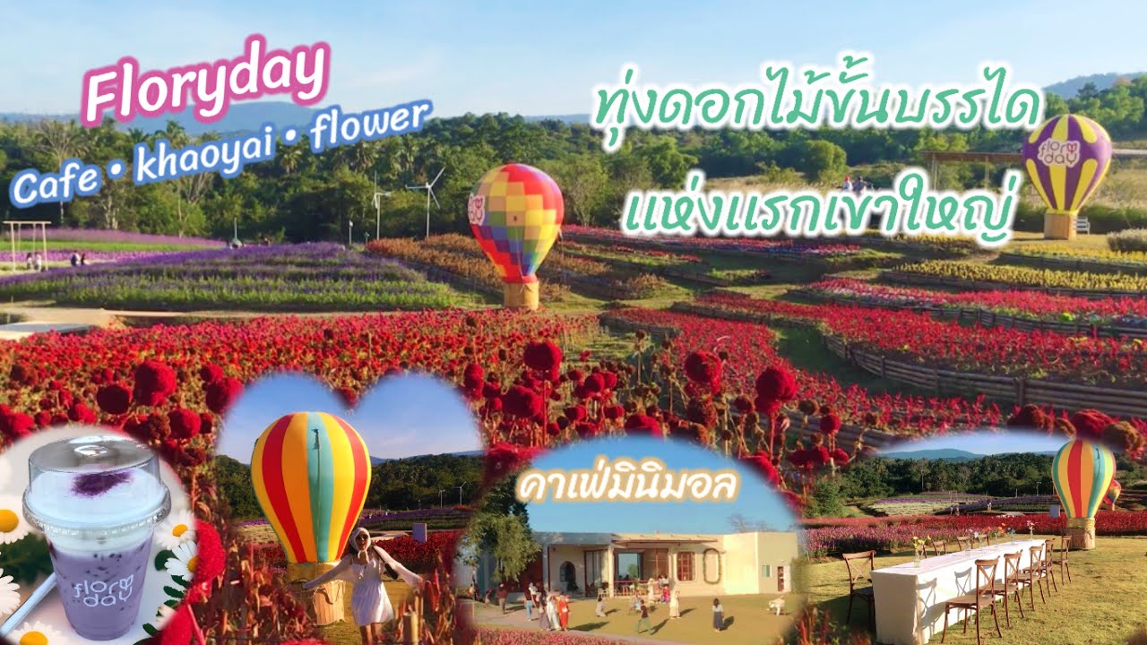 Floryday | สวนดอกไม้ ขั้นบันได กลางหุบเขาใหญ่ | คาเฟ่สไตล์มินิมอล | มินิซู | มินิบอลลูน