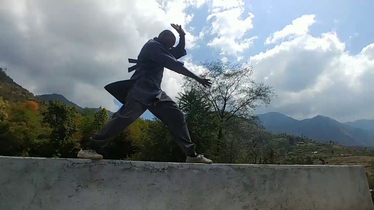 Shaolin Authentic Kungfu - Shaolin Gurukul