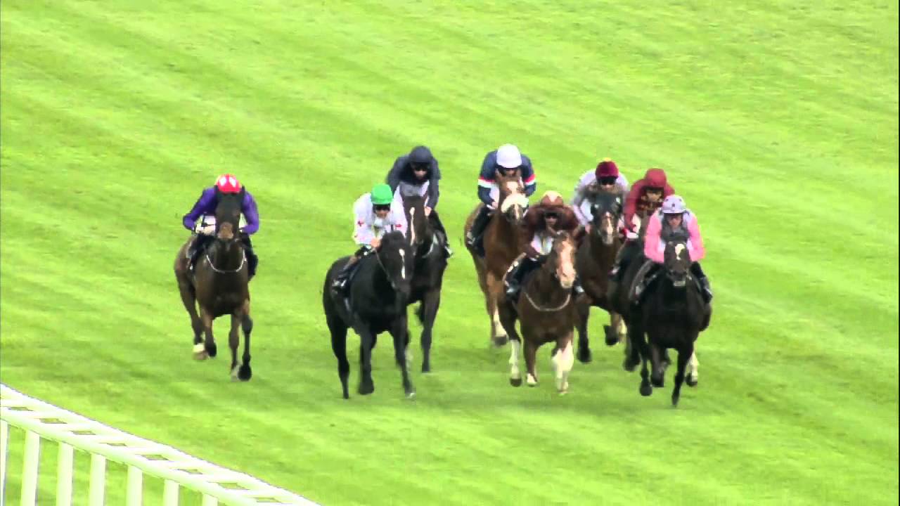2014 JLT Lockinge Stakes - Olympic Glory - Racing TV