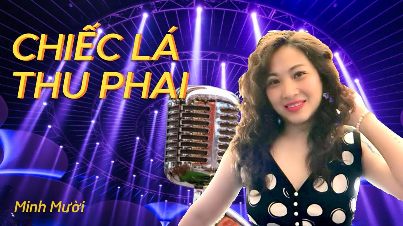 CHIẾC LÁ THU PHAI / Trịnh Công Sơn - Karaoke có lời - Minh Mười - Hát cho nhau nghe .