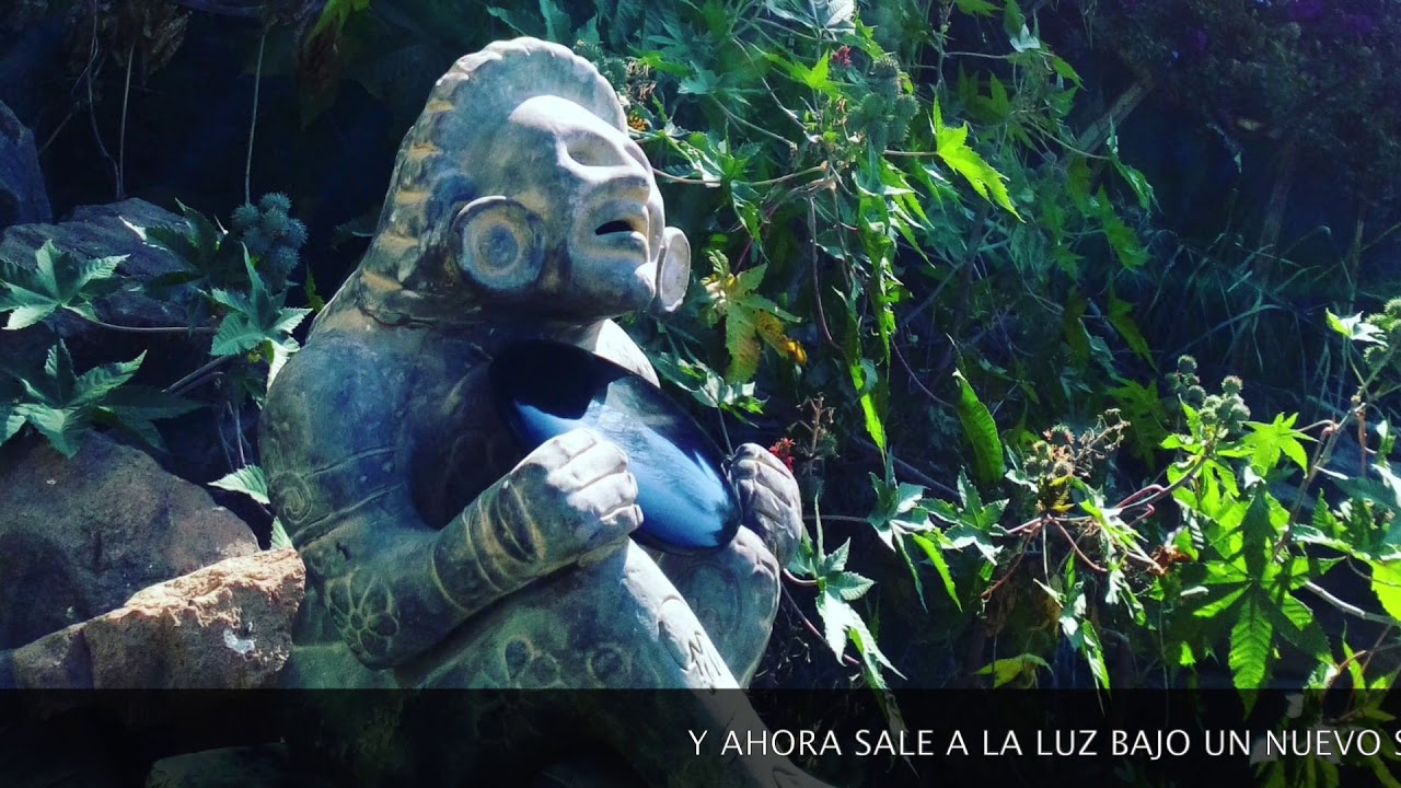 BAJO UN NUEVO SOL