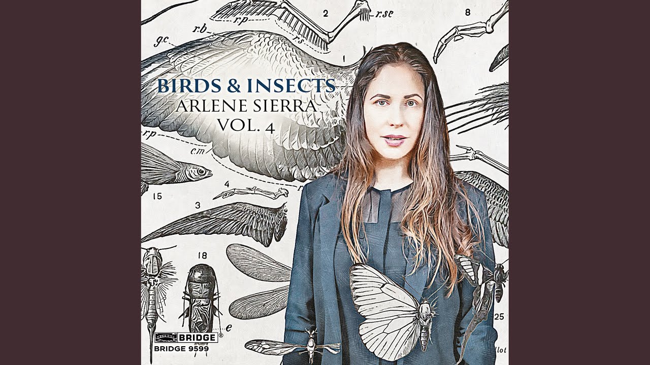 Birds and Insects, Book III: No. 11, Lovely Fairywren