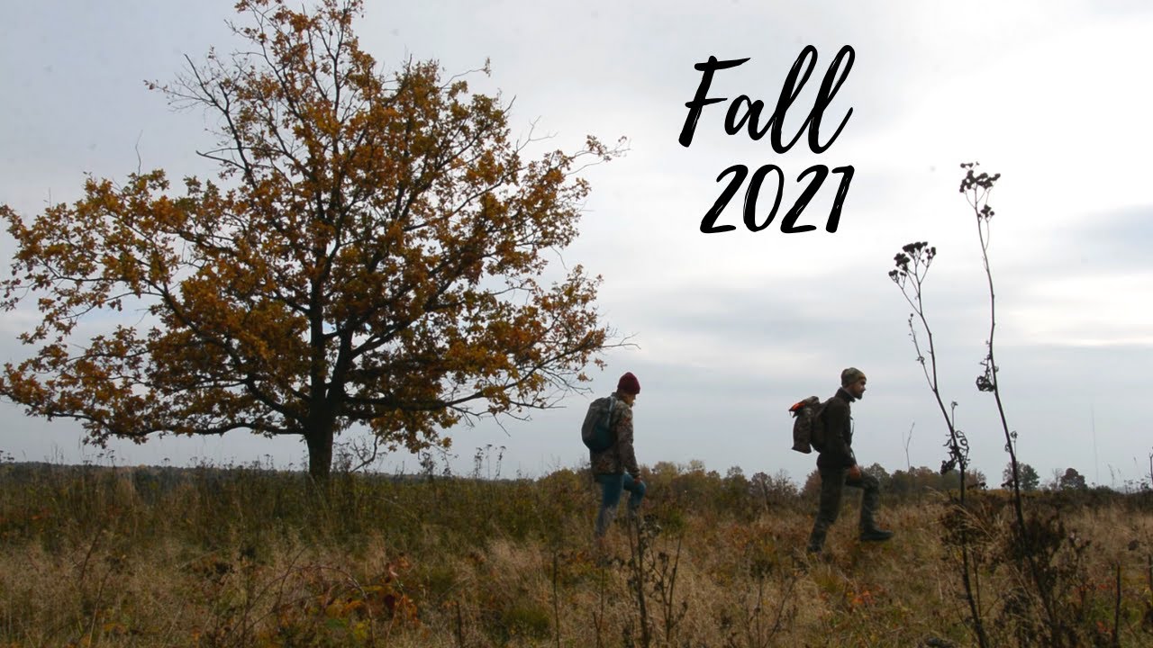 The Autumn day
