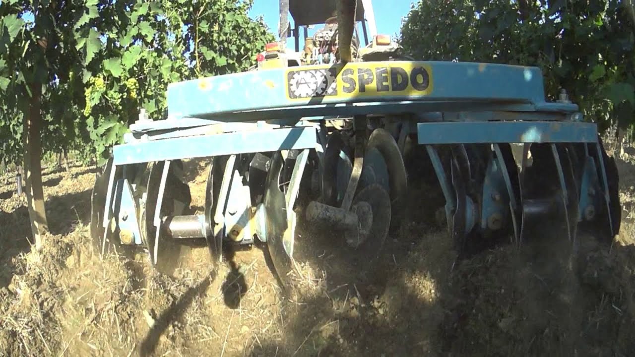 lavorazione estiva in vigneto con erpice a dischi spedo