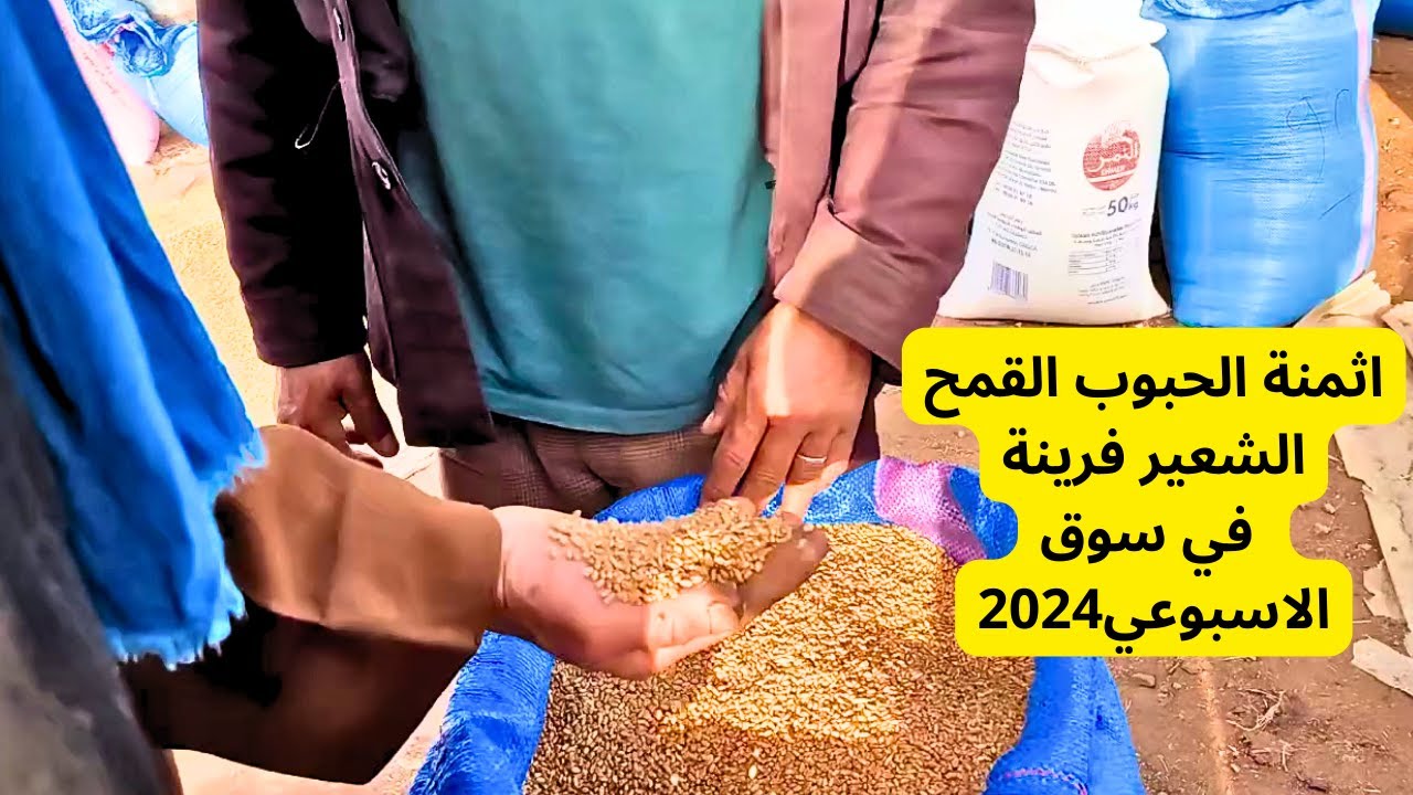 ثمن الحبوب ثمن القمح فرينة والشعير في سوق الاسبوعي بالمغرب 2024