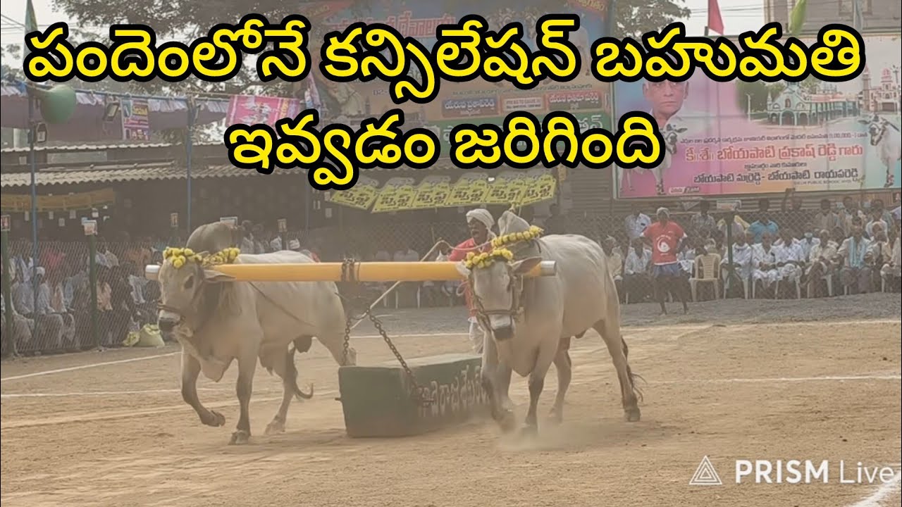 రెంటచింతల జూనియర్స్ 2జత. గోపాలం బ్రహ్మయ్య గారు. గోపాలంవారిపాలెం గ్రామం