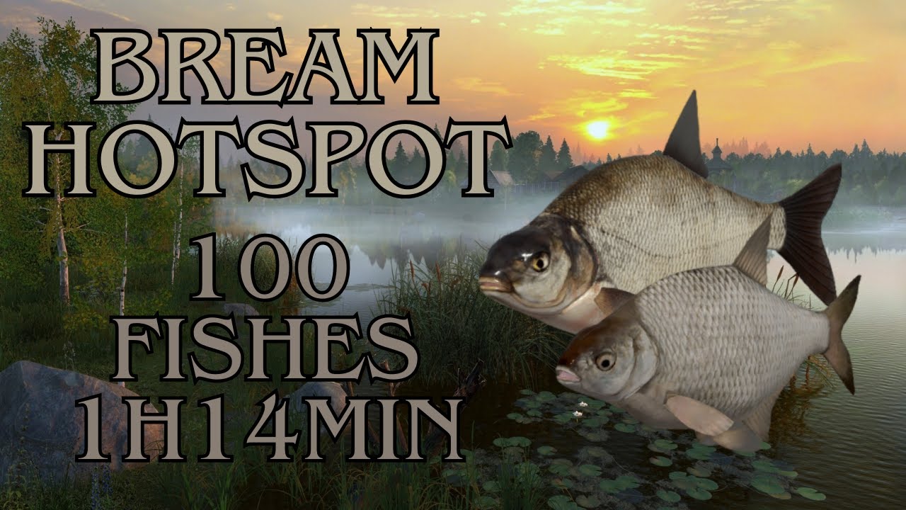 Bream Hotspot Old Burg Lake | Russian Fishing 4 #20 (24/08/2025)