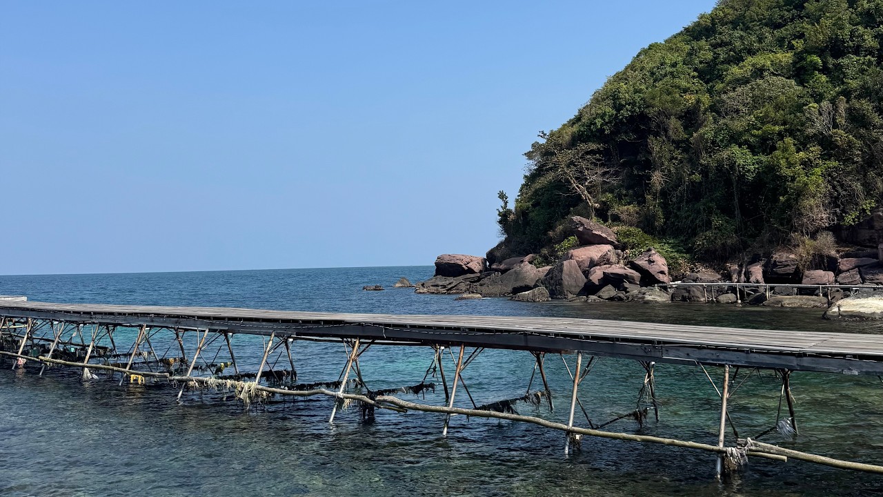 Vietnam | 2026 | Phu Quoc