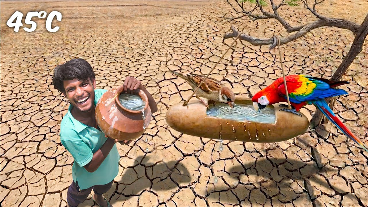 I Built Water Points for Birds in 45&deg;C Heat...प्यासे पक्षियों की प्यास बुझाई!
