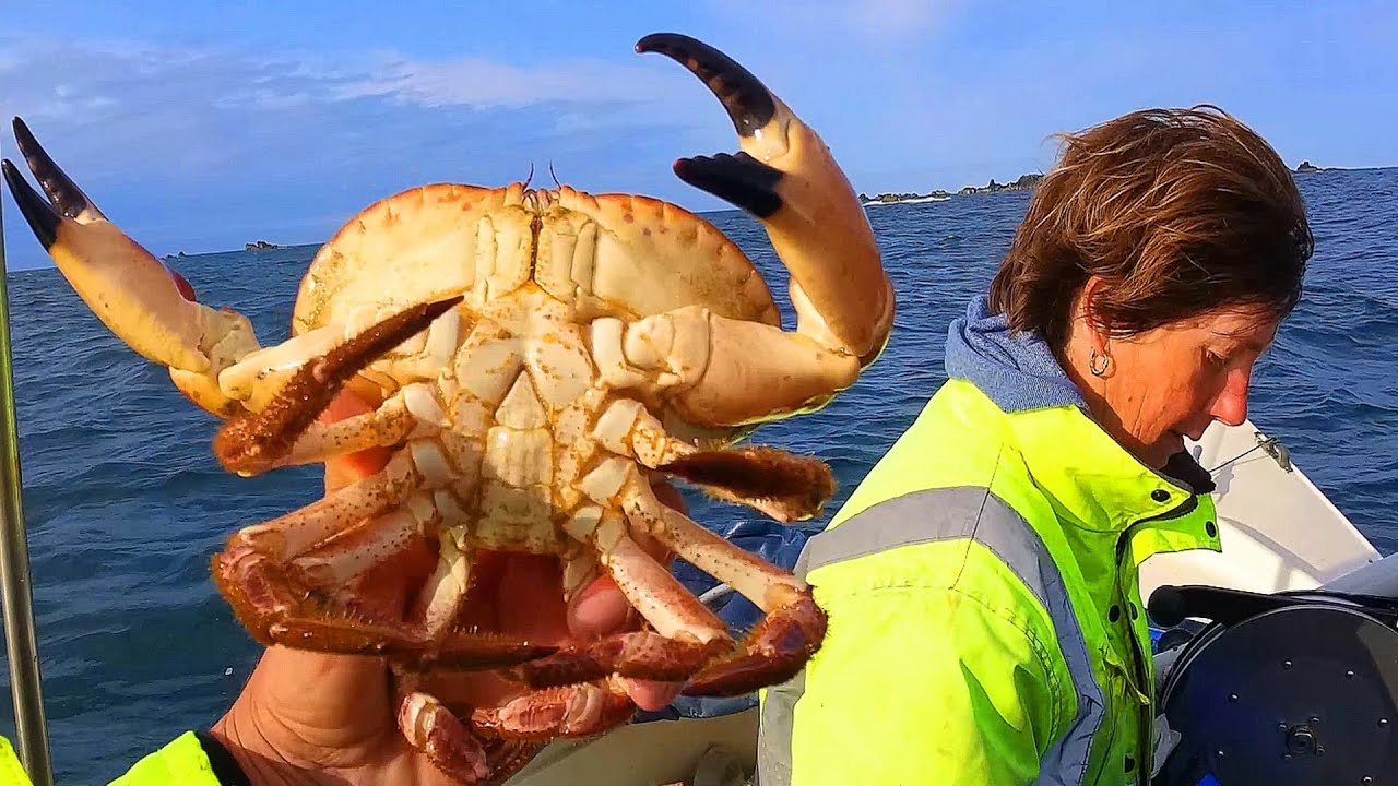 Hauling Pots Brown Crab & Lobster