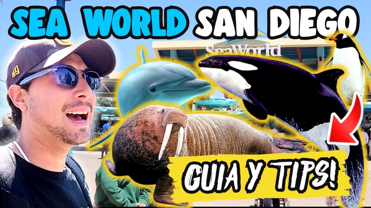 SEA WORLD SAN DIEGO! 🐬 Precios, Shows, Guía COMPLETA🇺🇸✅