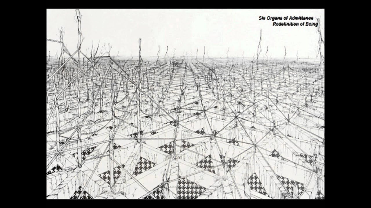 Six Organs Of Admittance - Redefinition of Being