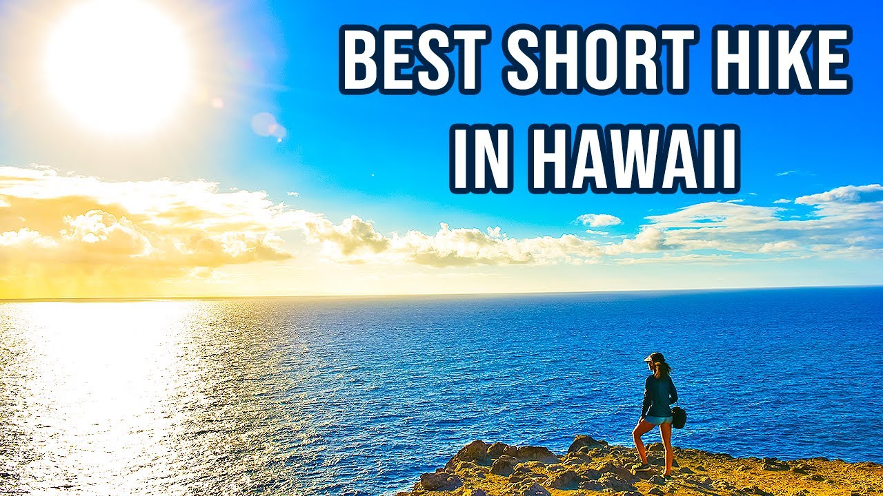 Makapuu Lighthouse & Dangerous Tide Pools | Best Short Hike In Hawaii 4K Video