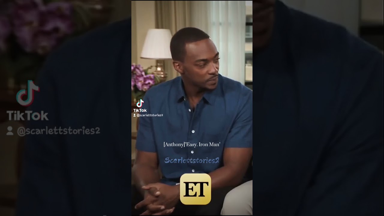 Getting to know the cast of Civil War with Chris Evans, Y/N Y/L/N, Sebastian Stan and Anthony Mackie
