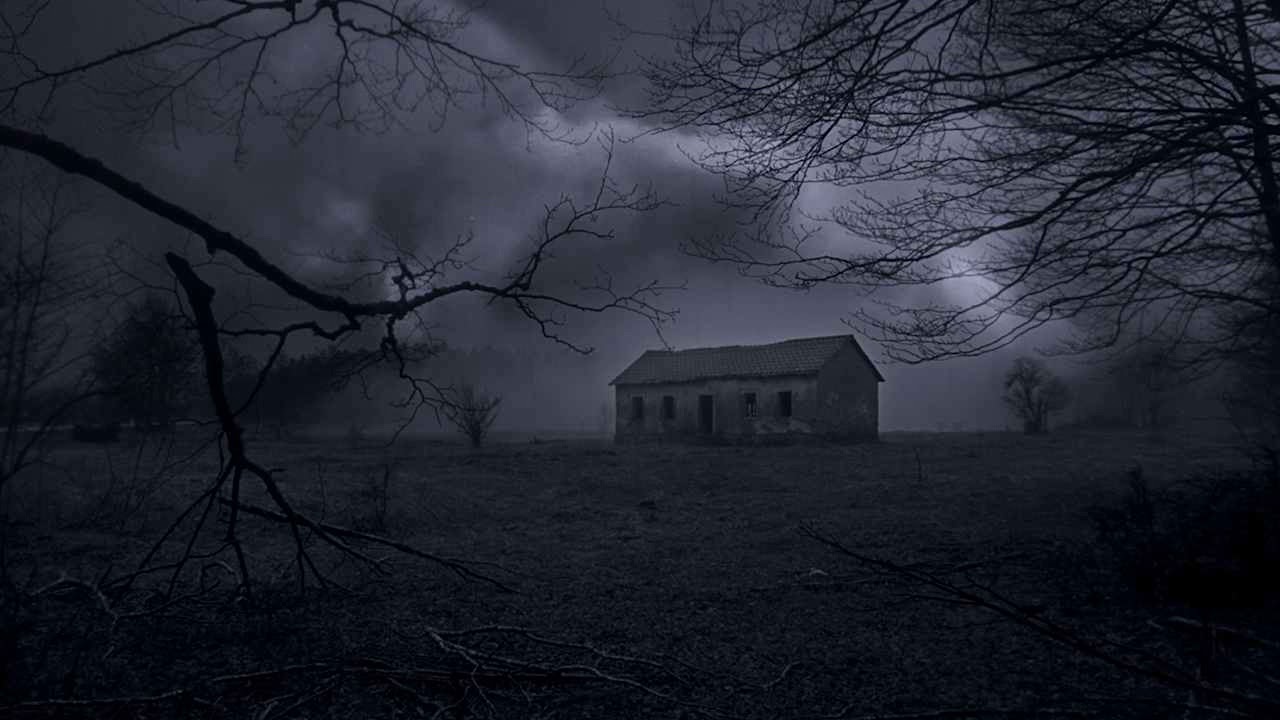 Horror Stock Footage | Haunted House in the Woods