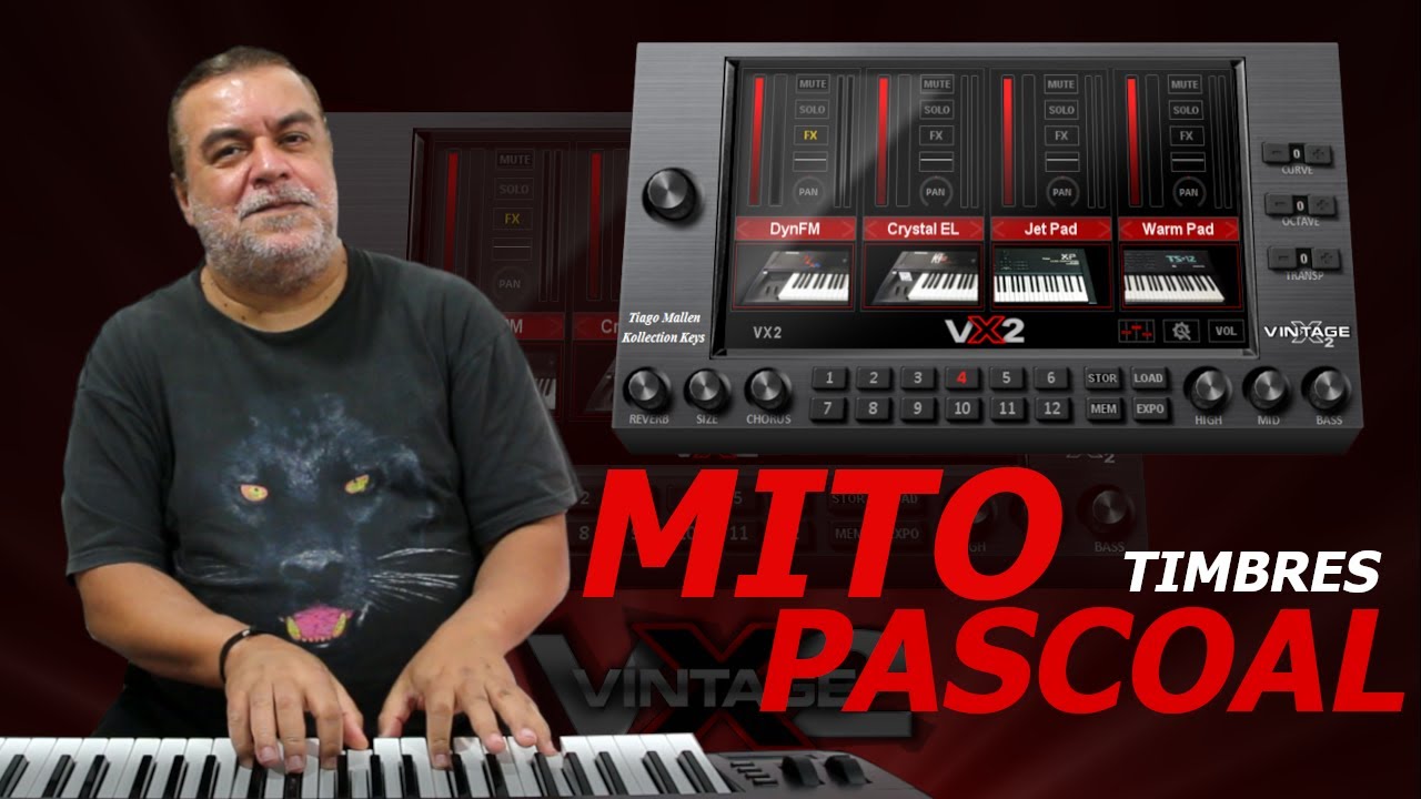 VINTAGE X2 by MITO PASCOAL (TIMBRES USADOS PELO MITO) for KONTAKT