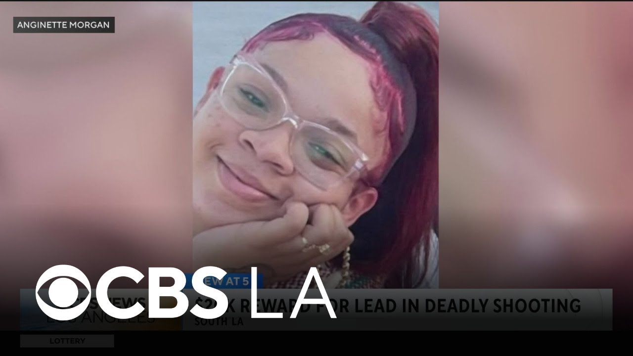 $20k reward offered as search for gunman in deadly 2024 South LA shooting continues