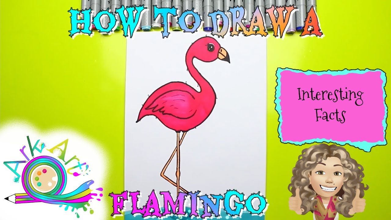 How To Draw A Flamingo - Interesting Facts About Flamingos