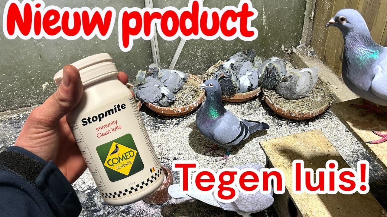 Nieuw Product tegen luis | De Jongen van de kwekers op de grond? | Kweekseizoen 2026 |