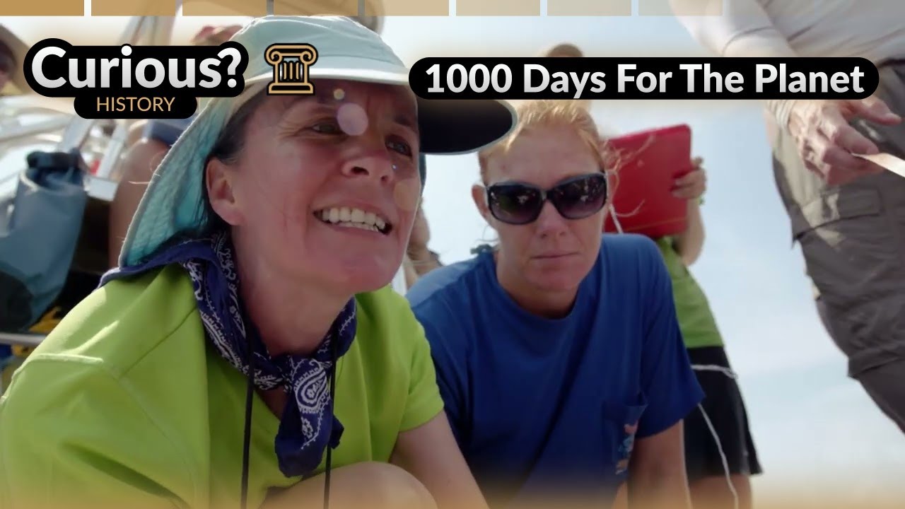 Saving Belize Manatees From Boat Strike Extinction | 1000 Days For The Planet