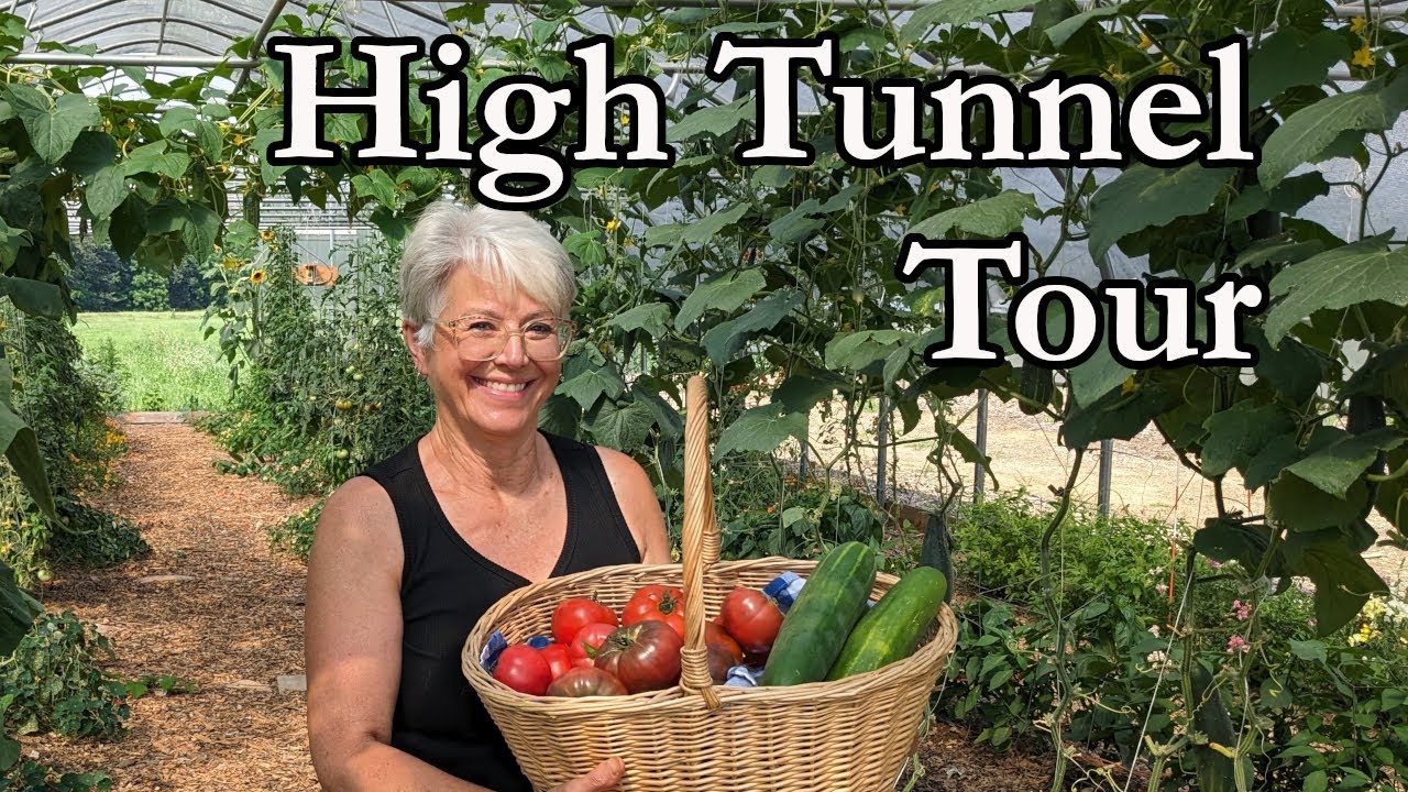 High Tunnel Tour: See What We're Growing This Season!